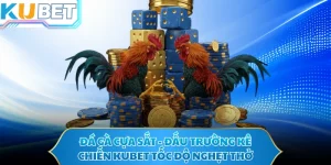 Đá Gà Cựa Sắt - Đấu Trường Kê Chiến KUBET Tốc Độ Nghẹt Thở